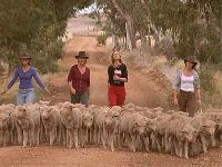 McLeods Daughters